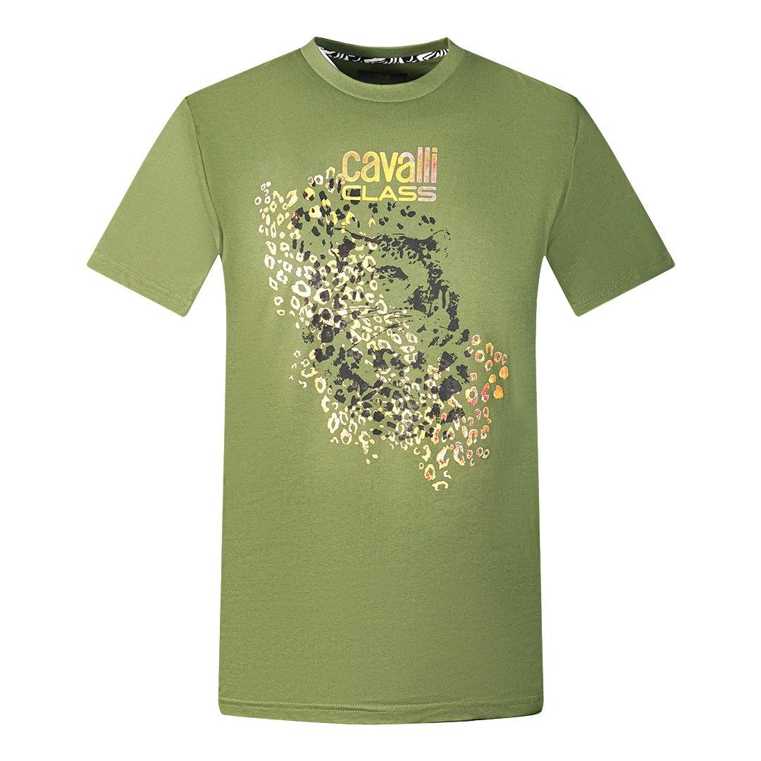 цена Зеленая футболка с леопардовым принтом и силуэтом Cavalli Class, зеленый