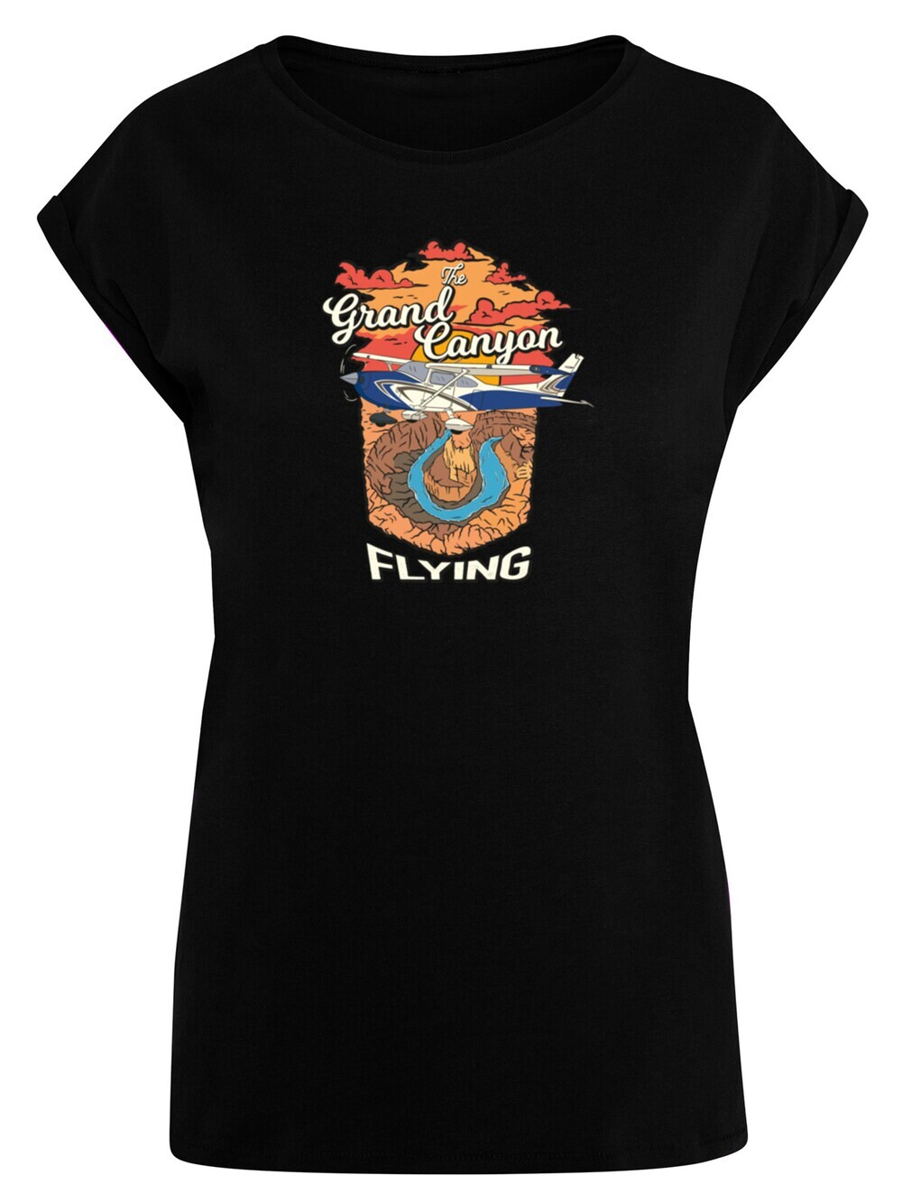 

Рубашка F4NT4STIC Grand Canyon Flying, черный