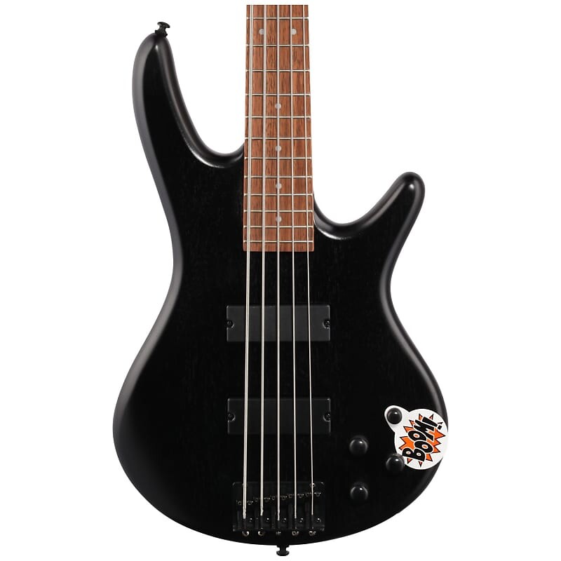 

Комплект Ibanez GSR205 Soundgear Weathered Bass GIO
