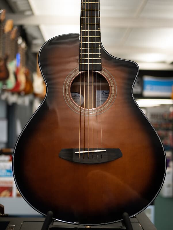 

Акустическая гитара Breedlove Performer Concertina Bourbon CE