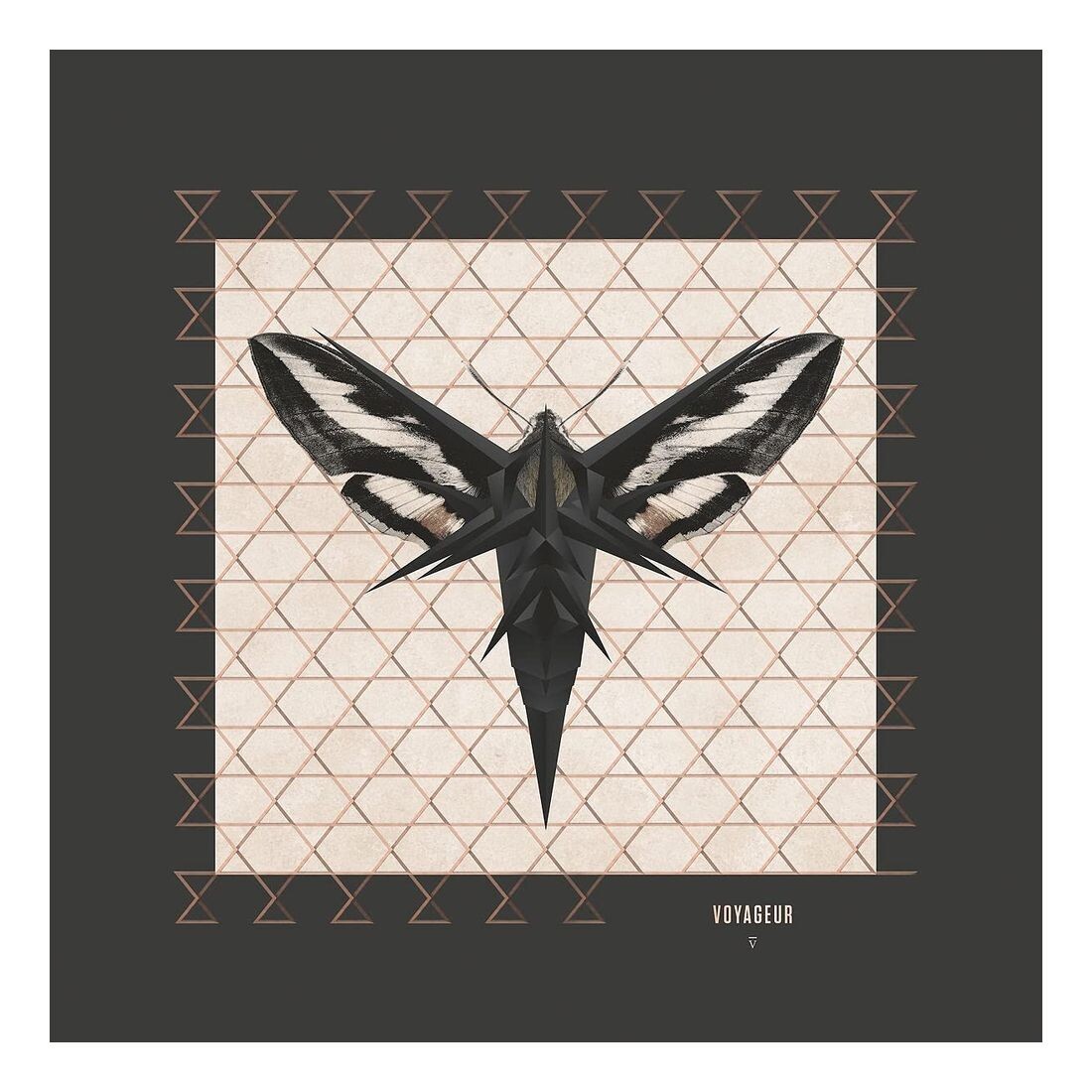 

CD диск Voyageur (Reissue) | Enigma