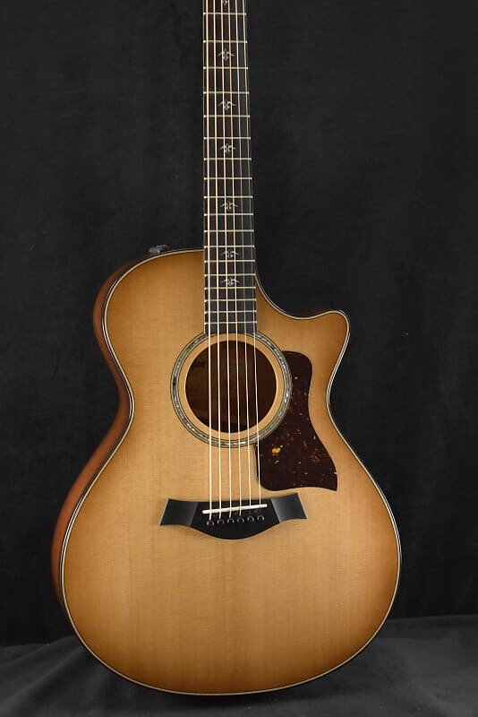 

Taylor 512ce Urban Ironbark/Torrified Sitka Spruce Shaded Edge Burst