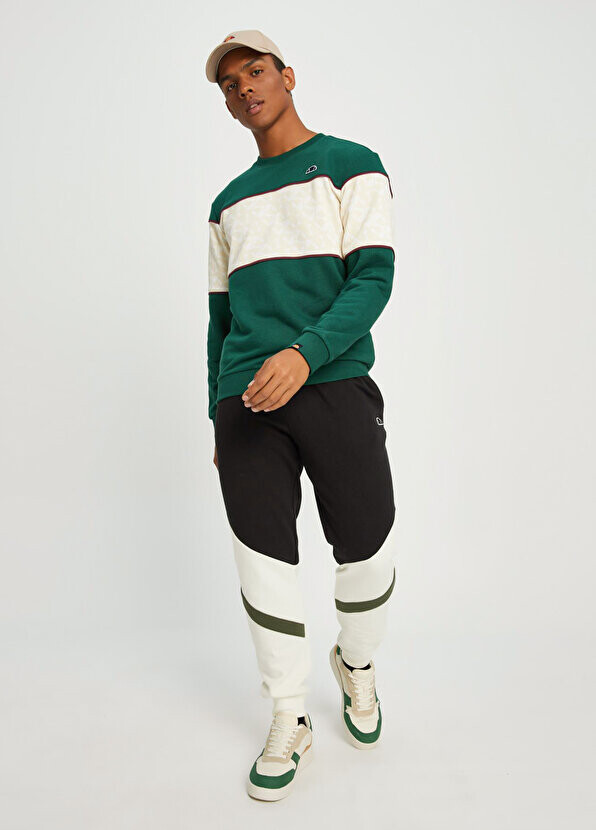 

Зеленый мужской свитшот Ellesse