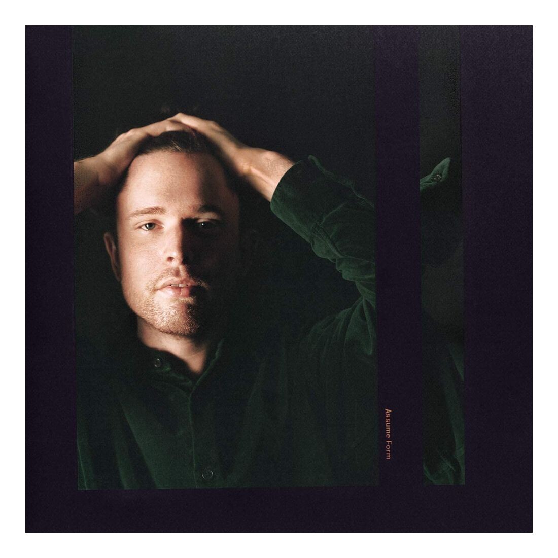 

Виниловая пластинка Assume Form | James Blake