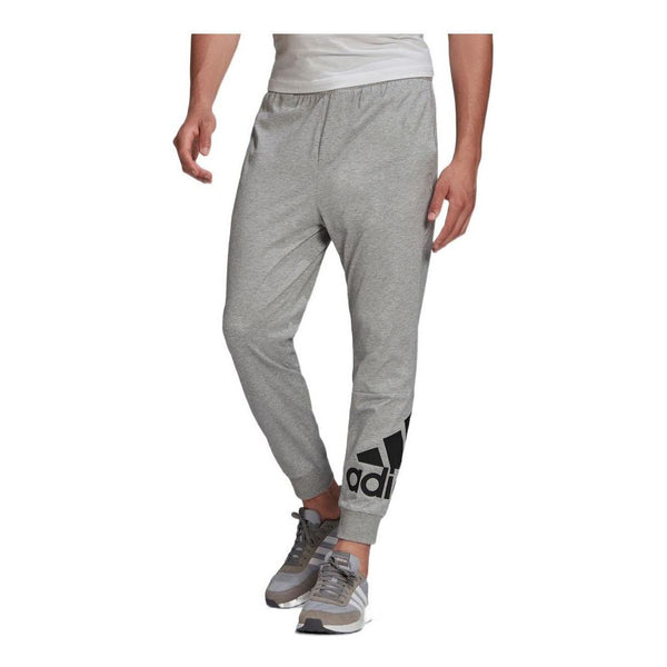 Спортивные штаны Adidas Pants Large Logo Sports Gray, Серый