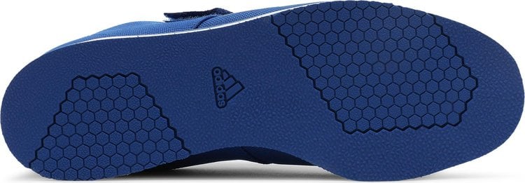 Adidas best sale powerlift blue