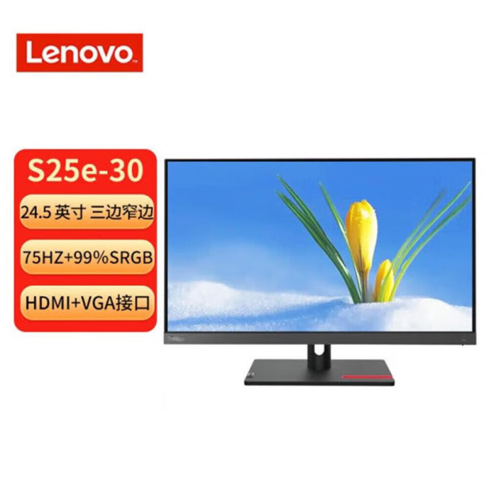 Монитор Lenovo ThinkVision S25e-30 24,5 Full HD