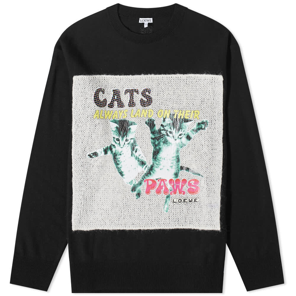 

Джемпер Loewe Printed Mohair Crew Knit