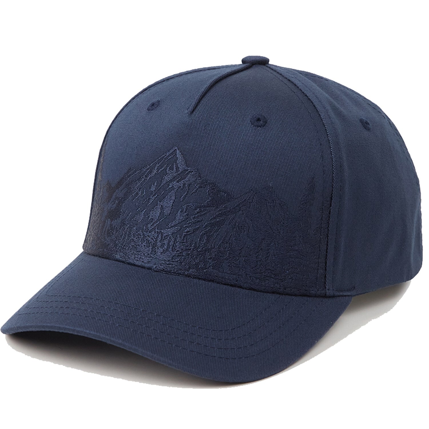 

Кепка Tentree Mountain Scenic Altitude, синий