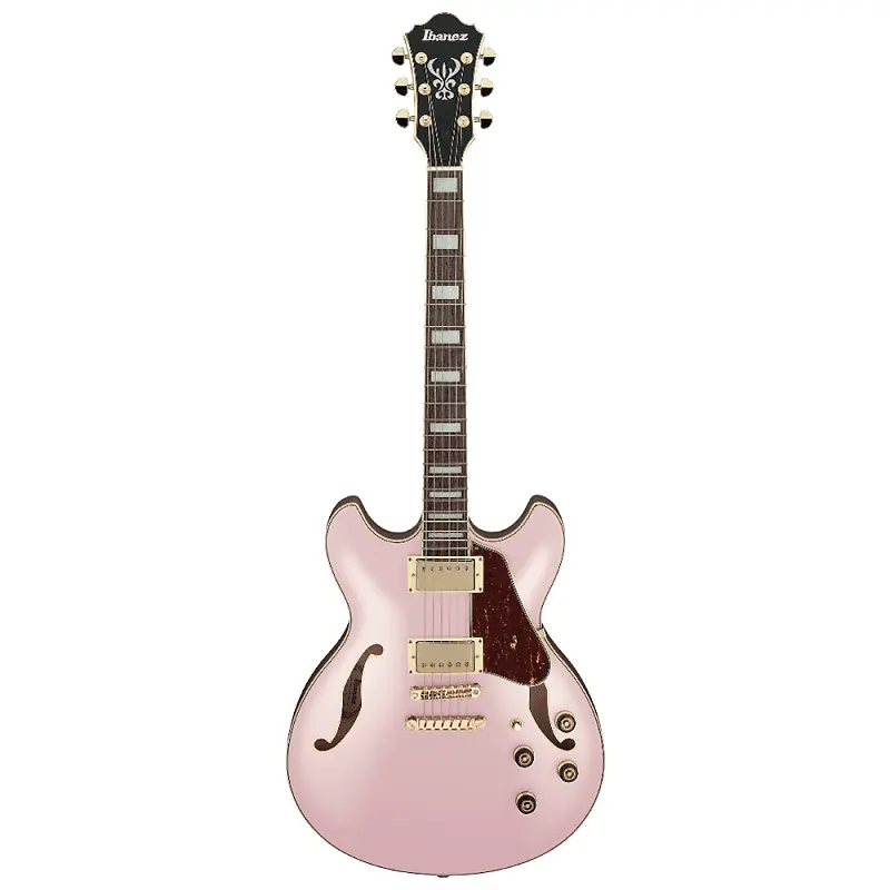 Роуз электрогитара. Floyd rose guitar. Роуз электрогитара. Роуз электрогитара. Gibson sg floyd rose.
