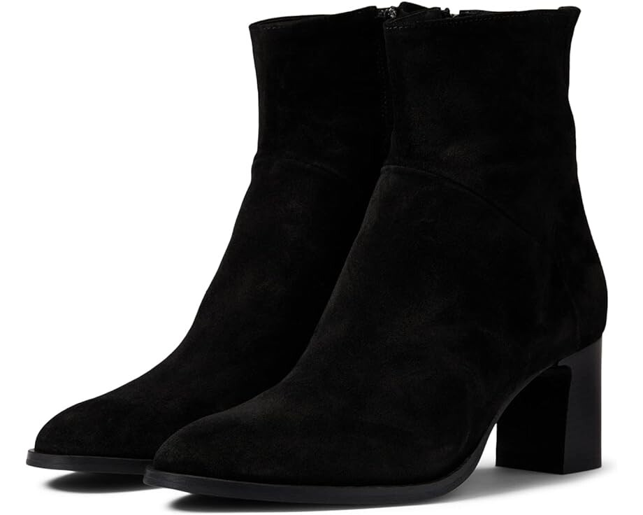 

Ботинки Cordani Berkeley, цвет Black Suede