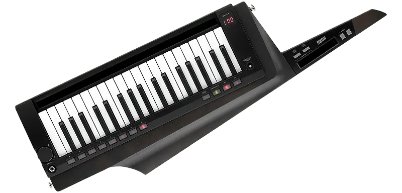 

Контроллер клавиатуры Korg RK-100S 2 в черном цвете