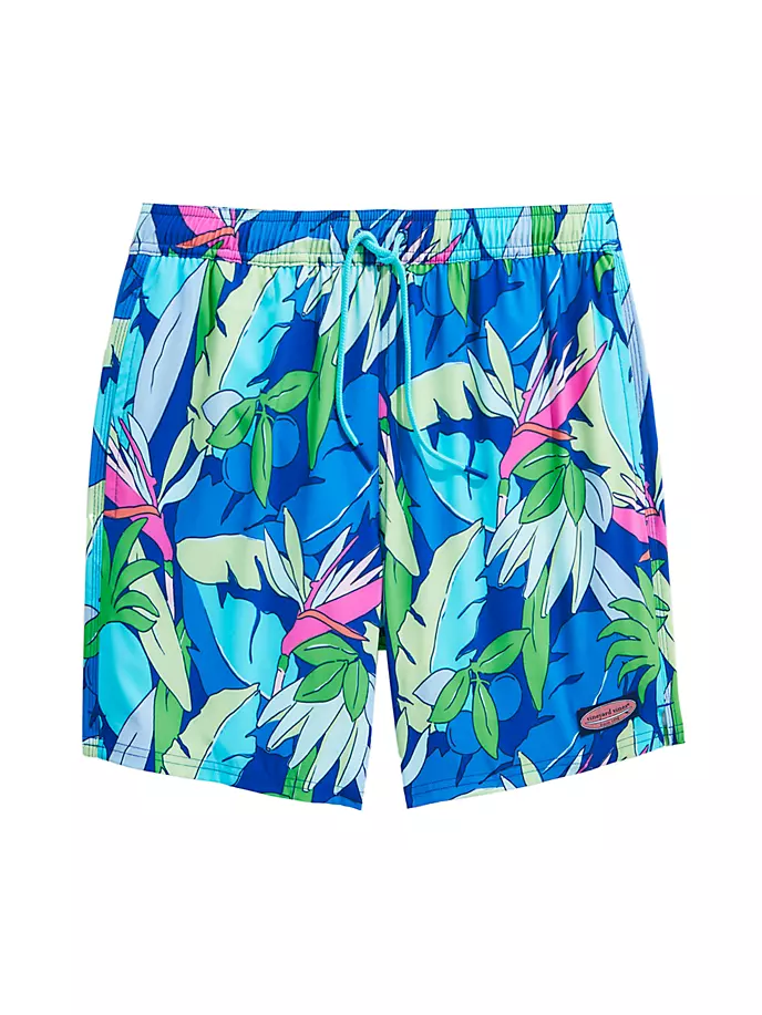 

Плавки Chappy с принтом Vineyard Vines, синий