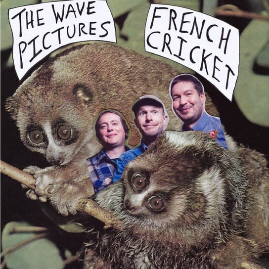 

Виниловая пластинка Wave Pictures - 7-French Cricket