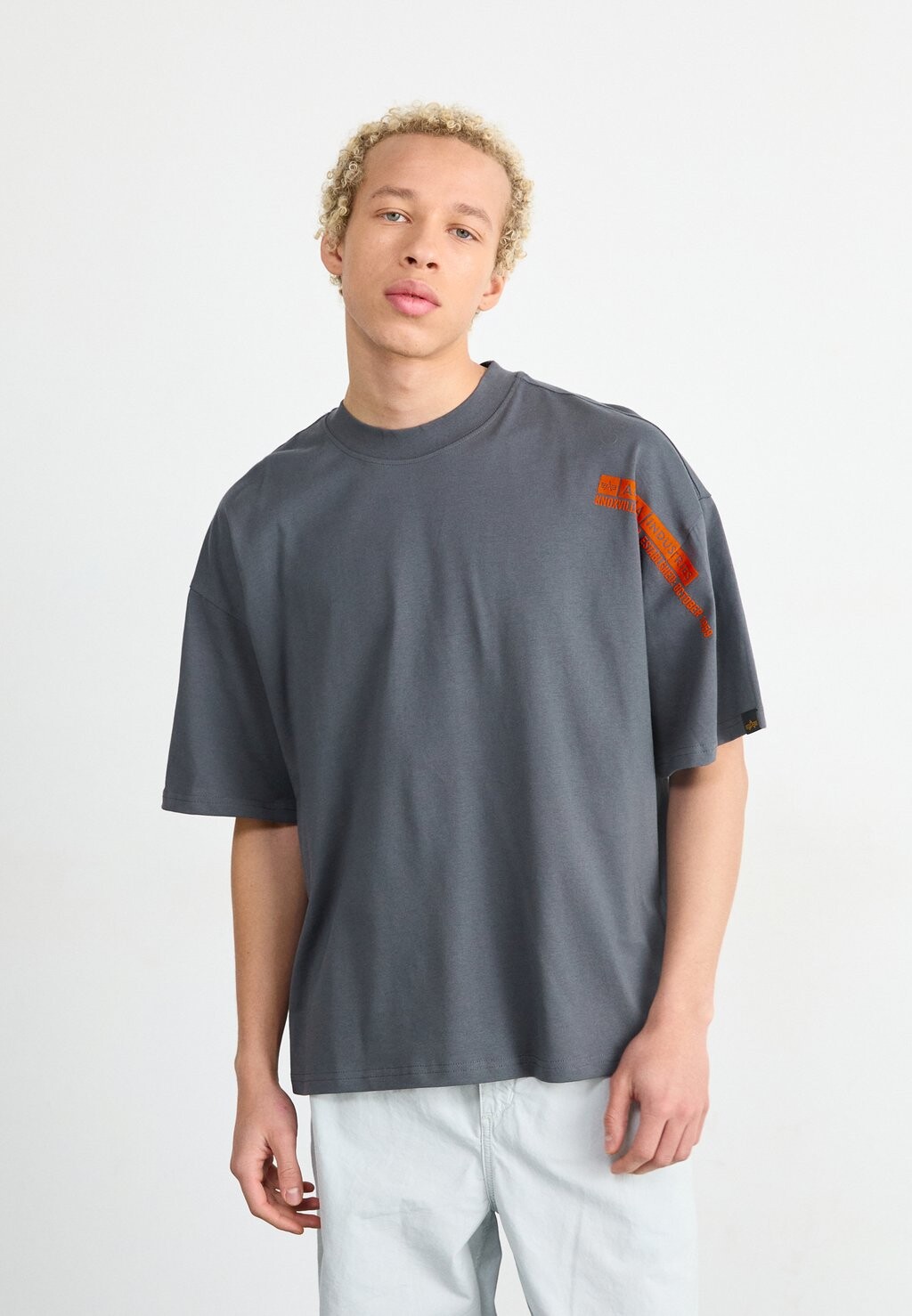 

Футболка с принтом FLOCK LOGO Alpha Industries, серый