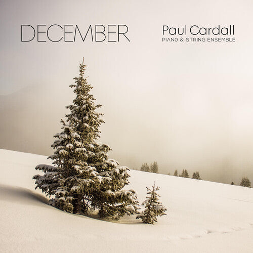 

CD диск Cardall, Paul: December