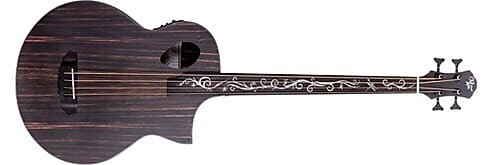 

Басс гитара Michael Kelly Dragonfly 4 Port Java Ebony Fretless Acoustic-Electric Bass(New)