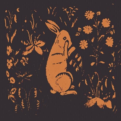 

Виниловая пластинка Sadness - Rabbit Album