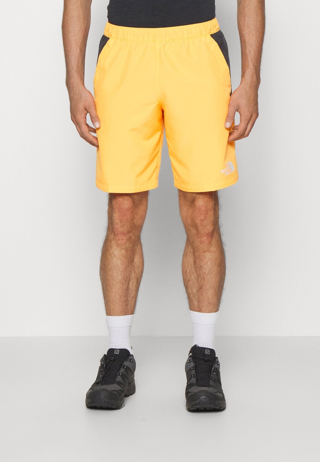 

Спортивные шорты The North Face