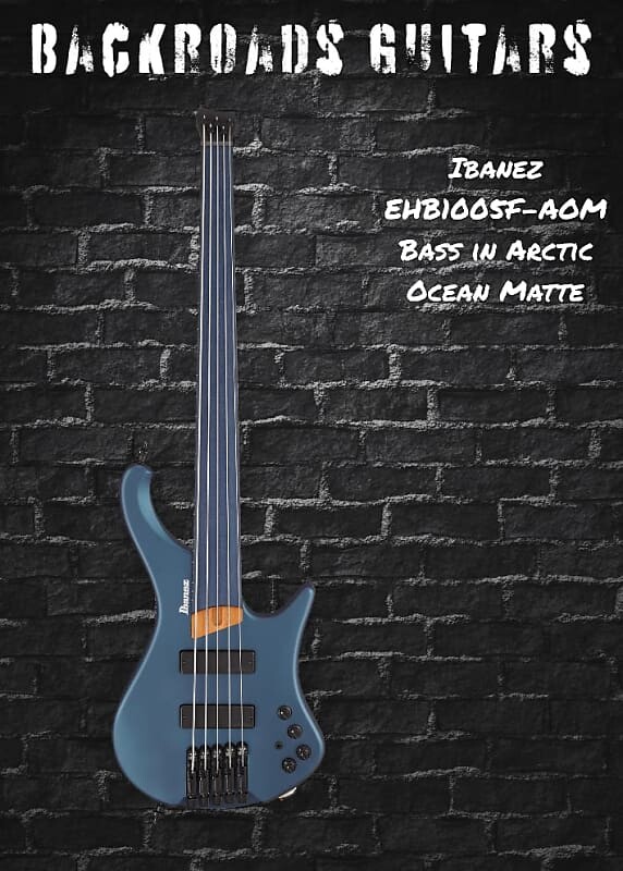 

Басс гитара Ibanez EHB1005F-AOM Bass w/ Gig Bag in Arctic Ocean Matte