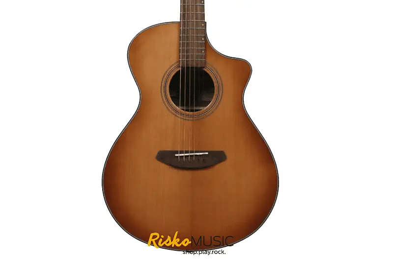 

Акустическая гитара Breedlove SNCN03CETEAM Copper Burst High Gloss