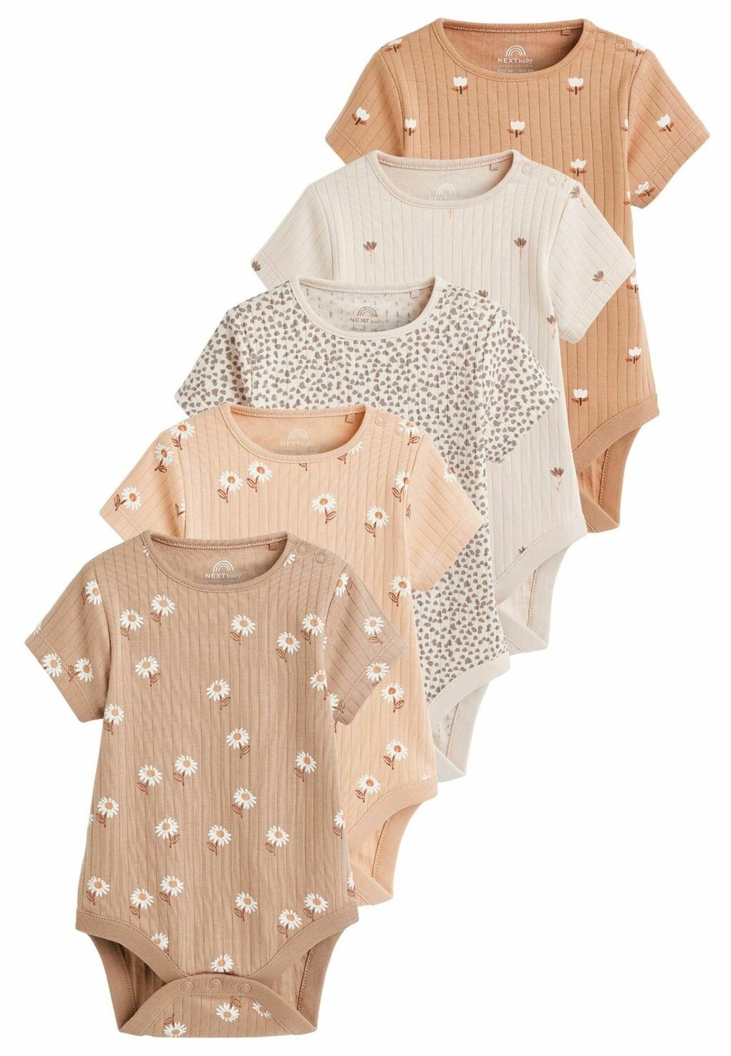 

Боди SHORT SLEEVE 5 PACK REGULAR FIT Next, цвет neutral