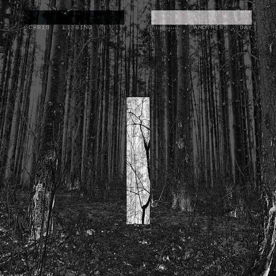 

Виниловая пластинка Liebing Chris - Another Day