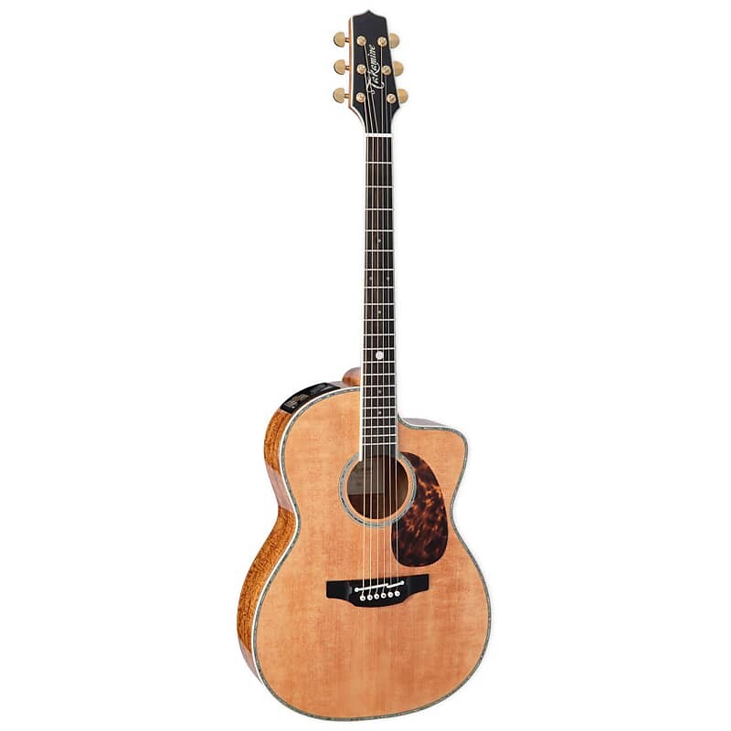 

Акустическая гитара Takamine LTD2022 Limited Edition Acoustic Electric Guitar