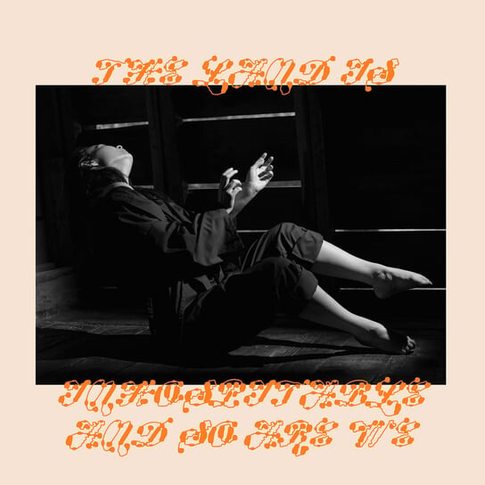 

Виниловая пластинка Mitski - The Land Is Inhospitable And So Are We