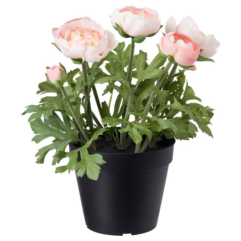 Lutik by ул кирова 30 фото Заказать Искусственный цветок в горшке IKEA FEJKA Artificial Plant Ranunculus Pi