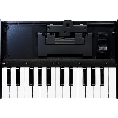 

Портативная клавиатура Boutique Roland Boutique K-25m с 25 нотами для модулей