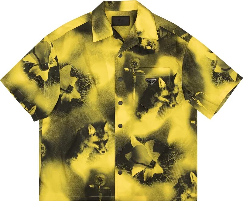 

Рубашка Prada Abstract Painted Short-Sleeve, мультиколор