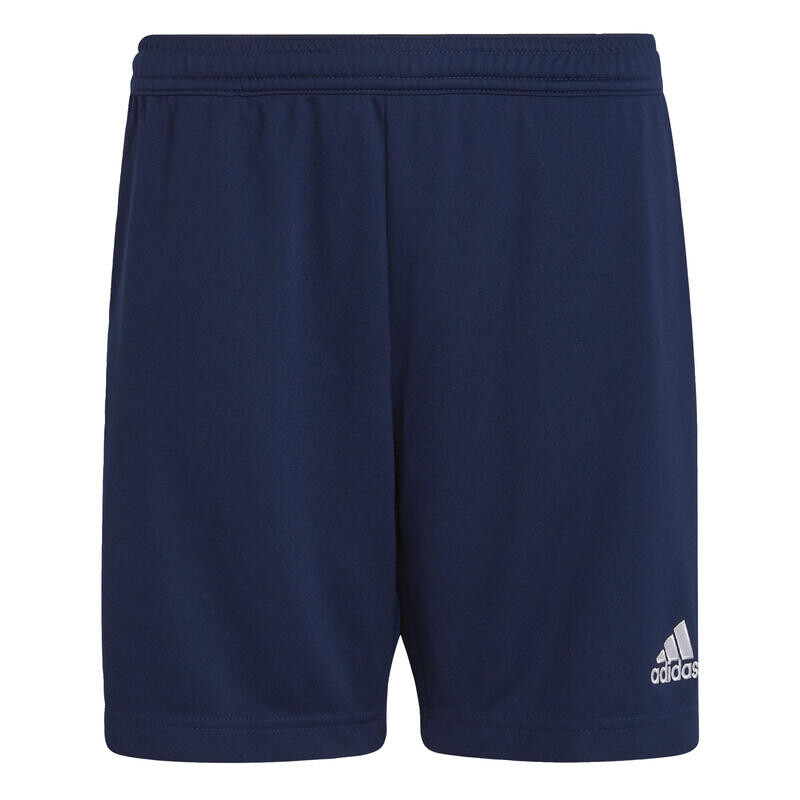 

Тренировочные брюки «Вход 22». ADIDAS, цвет azul