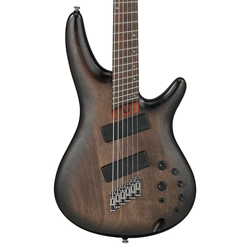 

Ibanez SRC6MSBLL SR Bass Workshop 6-String Electric Bass Black Stained Burst Low Gloss Предзаказ