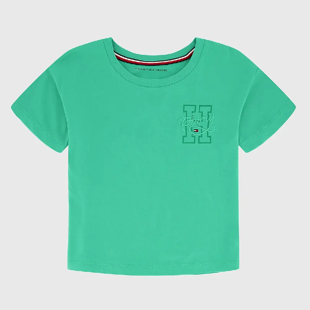 

Футболка Tommy Hilfiger Big Kids' H Logo, зеленый