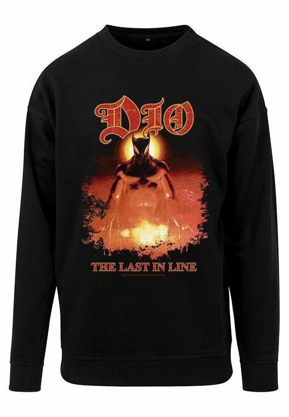 

Толстовка rockshirts