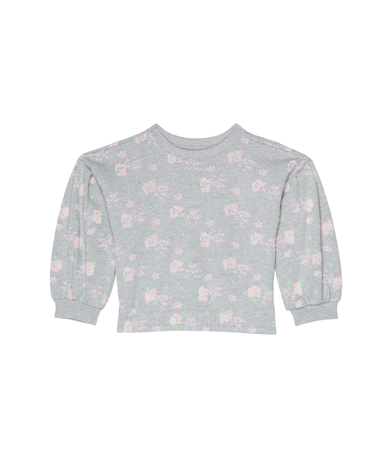 

Толстовка Janie and Jack, Floral Printed Sweatshirt