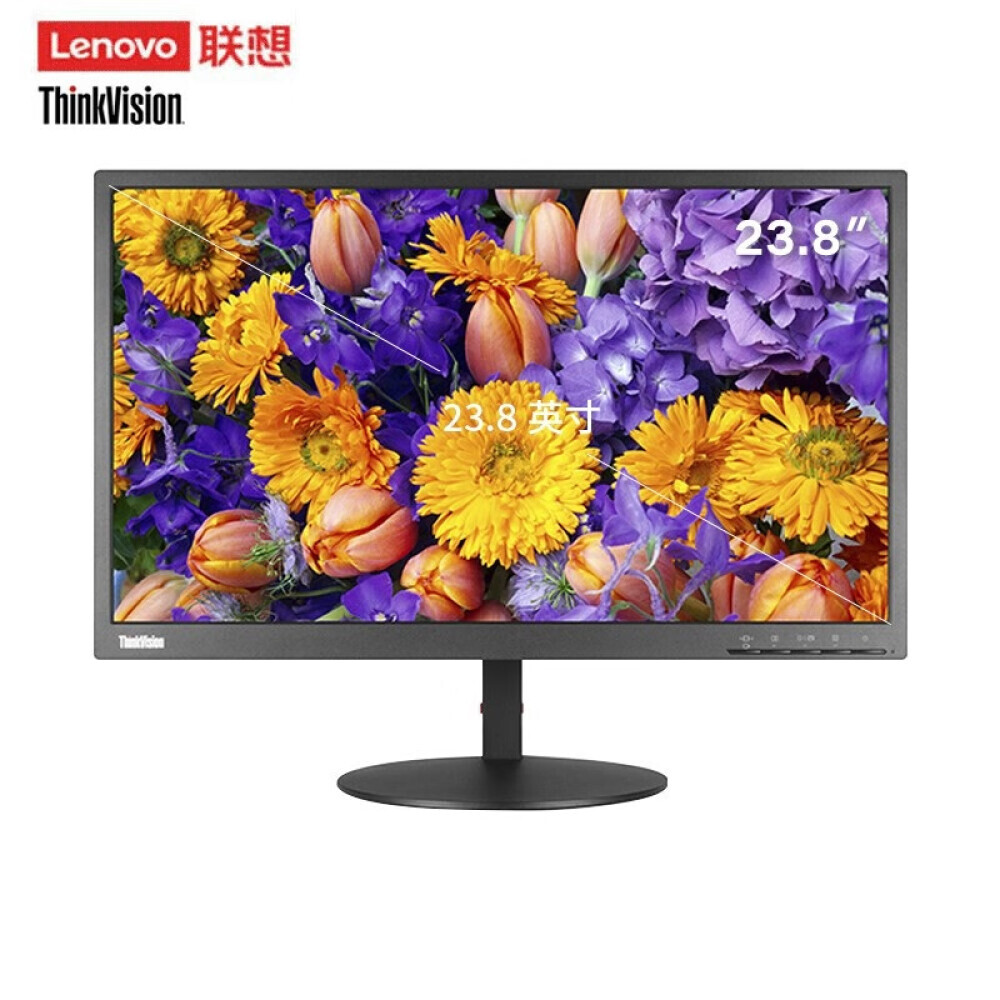 

Монитор Lenovo ThinkVision TE24-10 23,8" IPS