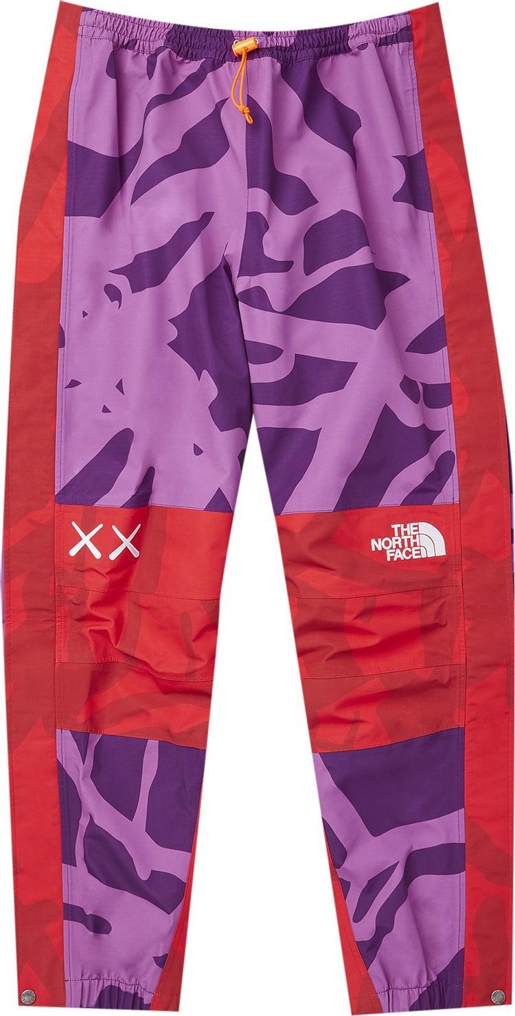 Брюки The North Face x KAWS Mountain Light Pant 'Pamplona Purple', фиолетовый - фото