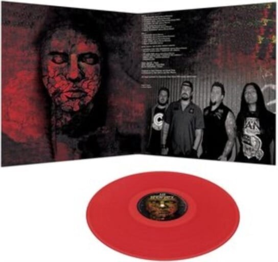 

Виниловая пластинка 12 Stones - Picture Perfect