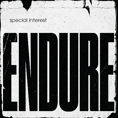 Виниловая пластинка Special Interest - Endure