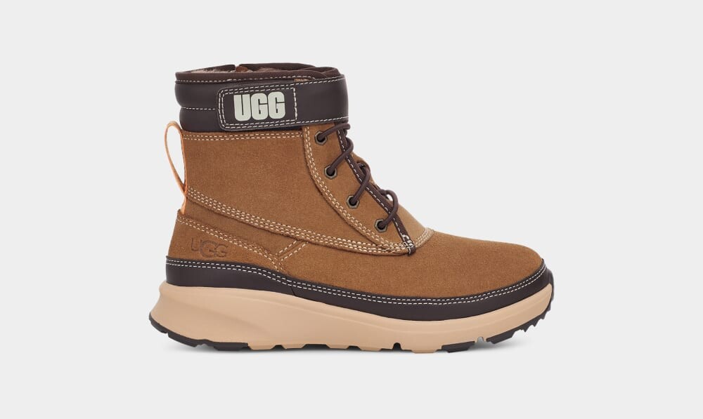 

Ботинки Arren Weather UGG, коричневый