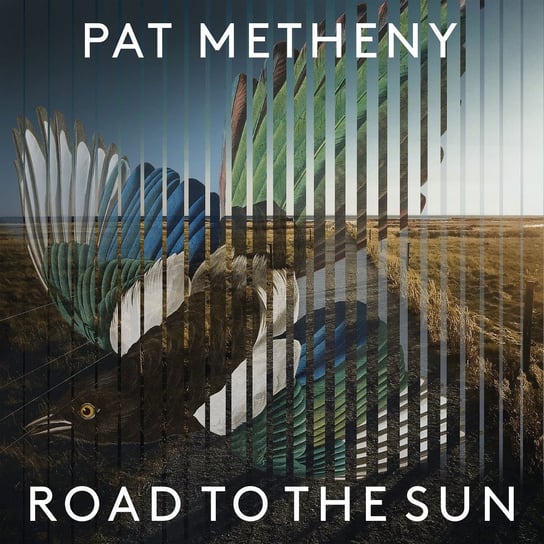 Виниловая пластинка Metheny Pat - Road to the Sun