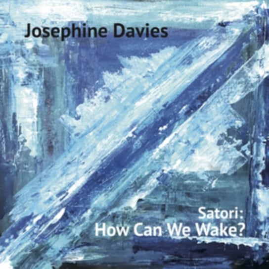 Виниловая пластинка Davies Josephine - Satori: How Can We Wake?