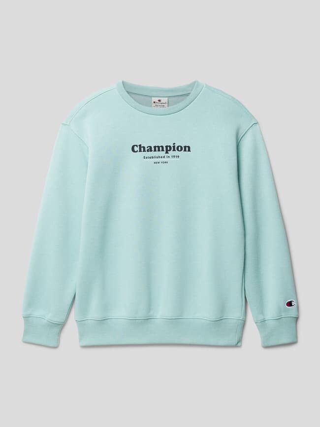 

Толстовка с мотивом и эффектным принтом, модель «Рочестер» CHAMPION, светло-бирюзовый, Зеленый