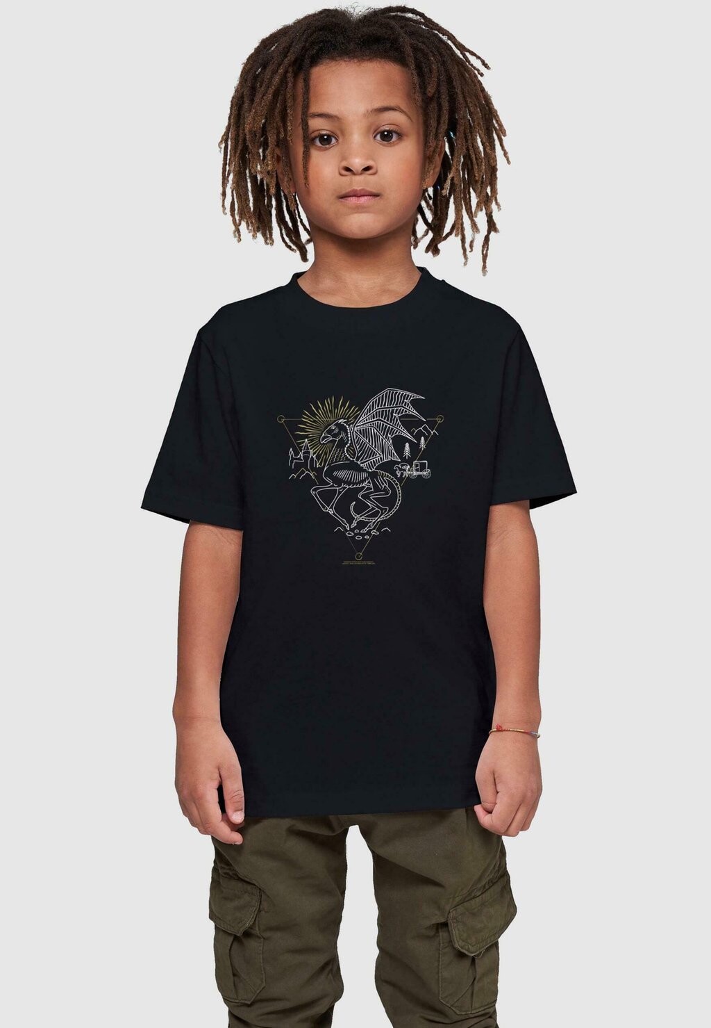 

Футболка с принтом HARRY POTTER THESTRAL BASIC ABSOLUTE CULT, цвет black