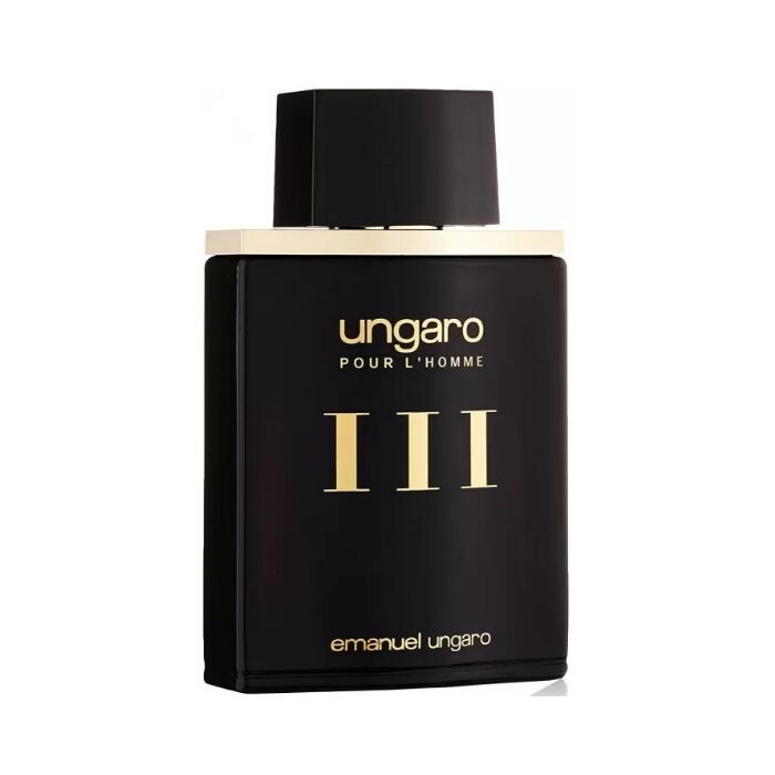 

Мужская туалетная вода Homme III MEN EDT Ungaro, 100 ml