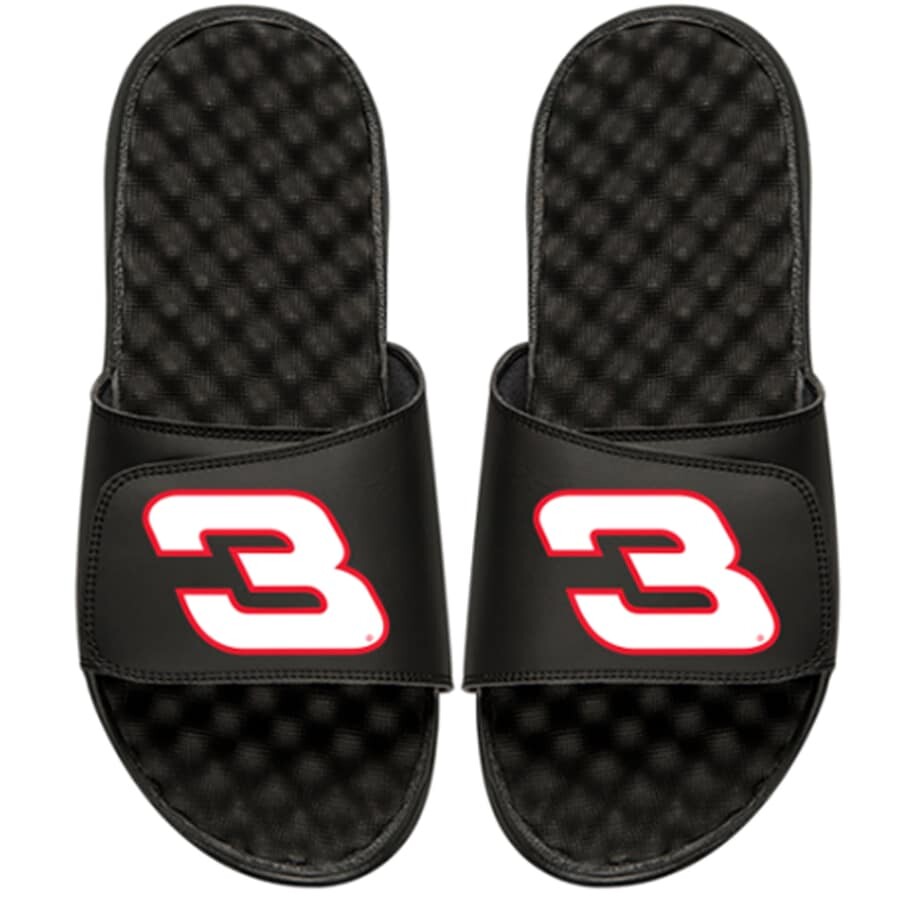 

Шлепанцы ISlide Dale Earnhardt, черный