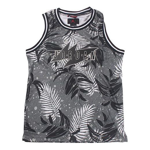 

Майка Air Jordan Wings Brown Printing Basketball Vest Gray CJ4315-084, серый