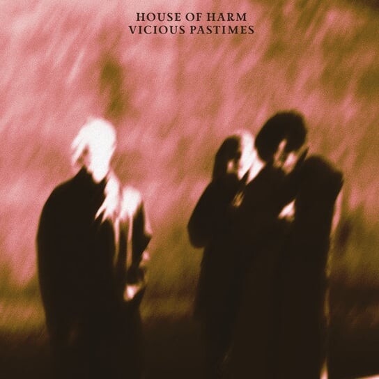 

Виниловая пластинка House Of Harm - Vicious Pastimes
